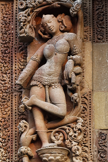 Bhubaneswar-Rajarani temple-061